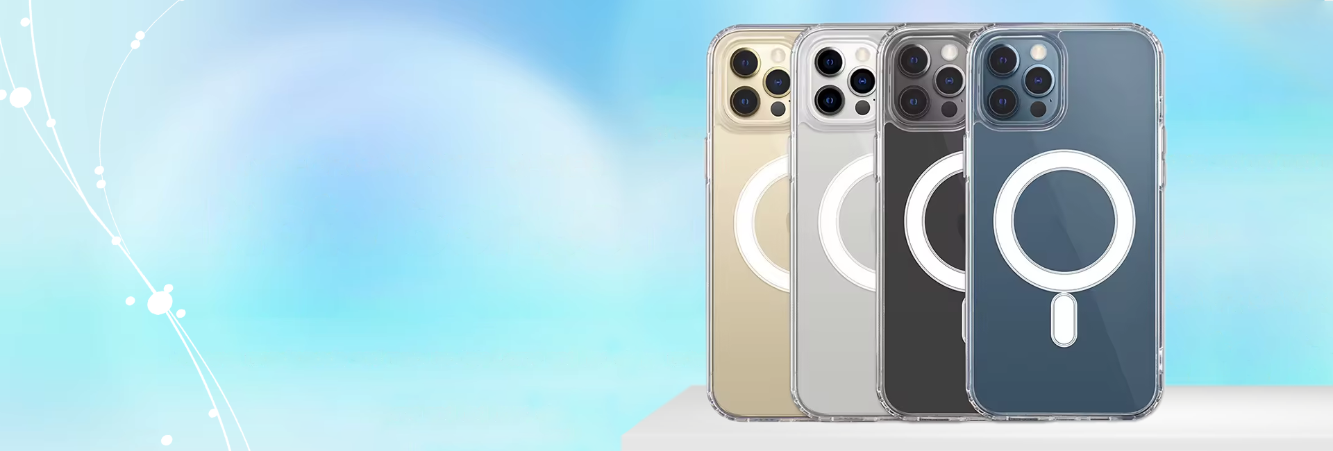 PHOEN CASE